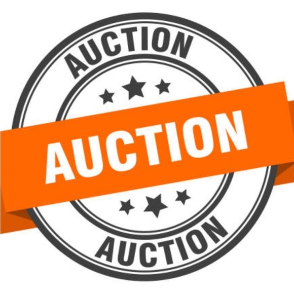 Women’s auction - Picture 1 of 1